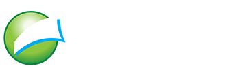 Mi Papel Original